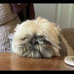 Meet your Posher, Annette